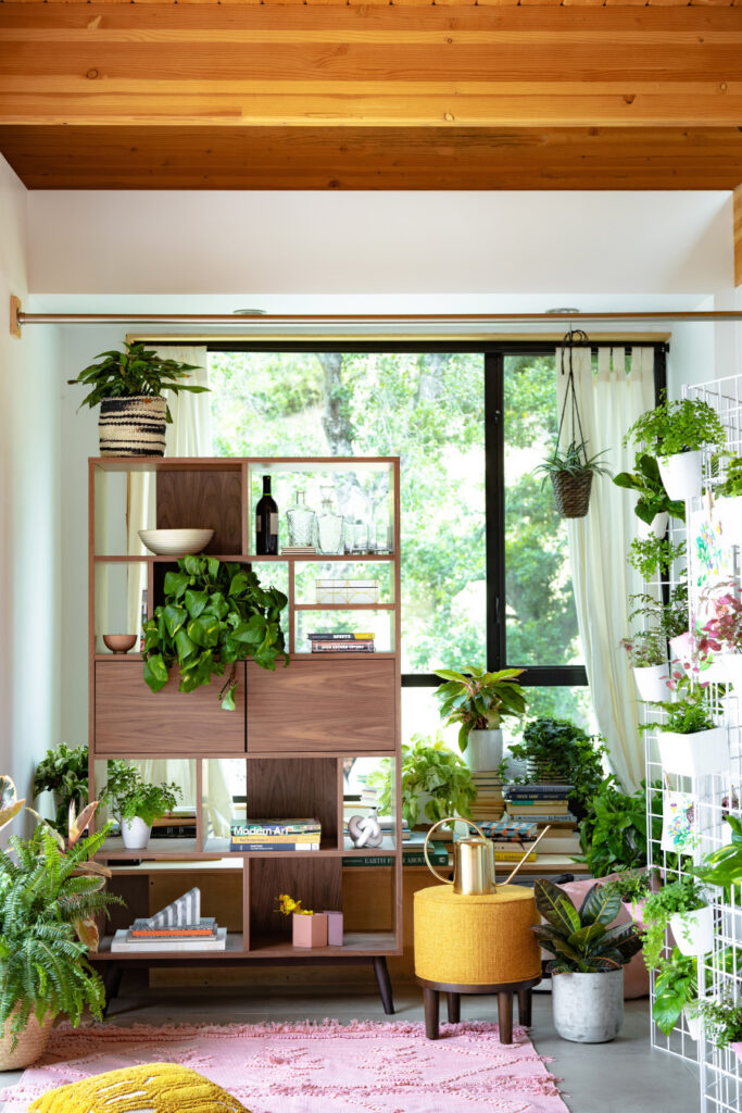Add Some Greenery | Budget-Friendly Home Decor Ideas And Design | Credit: joybird.com